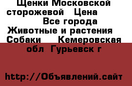 Щенки Московской сторожевой › Цена ­ 35 000 - Все города Животные и растения » Собаки   . Кемеровская обл.,Гурьевск г.